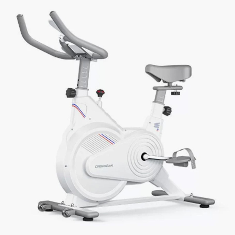 Indoor Stationary Spin Bike, S - đánh giá và giá Home Gym Routine