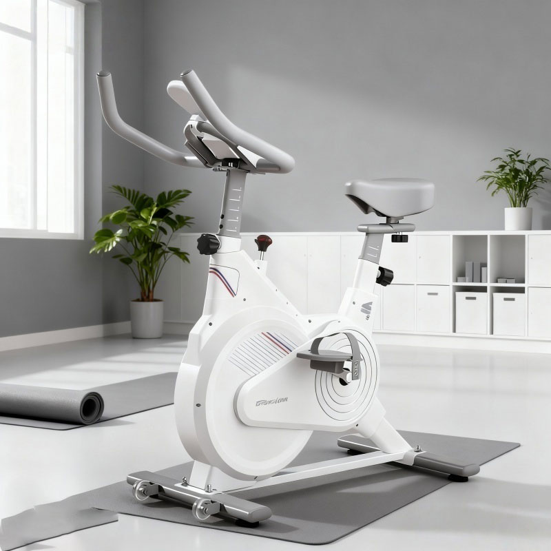 Indoor Stationary Spin Bike, S - đánh giá và giá Home Gym Routine